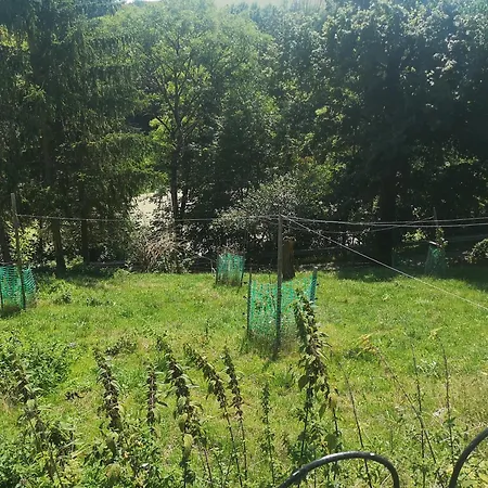 Gutshof Und Proft Lejlighed