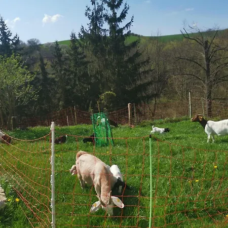 Gutshof Und Proft Lejlighed *