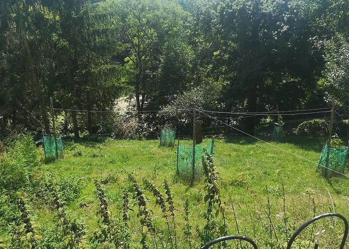 Gutshof Und Proft Apartment