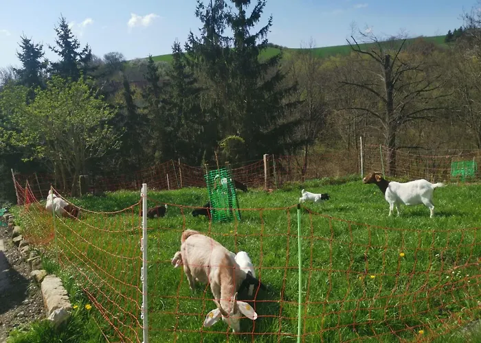 Gutshof Und Proft Apartment *